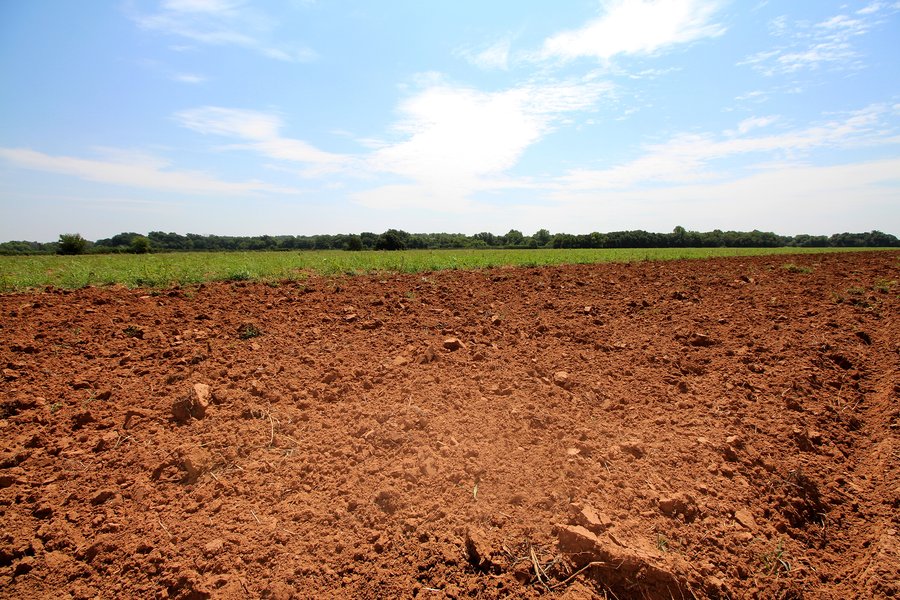 SIGNIFICANT LAND & PRODUCING MINERALS SEALED BID AUCTION - 233+/- ACRE FARM IN 1 TRACT - 6 MINERAL TRACTS IN GARVIN, MCCLAIN, GRADY & ROGER MILLS COUNTIES, OKLAHOMA